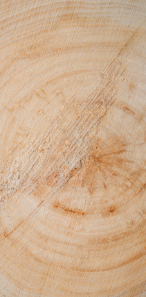 Wood